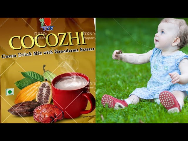 Cocozhi - Cocoa Fruits Mix with Ganoderma Extract | World Best Product the king of Herbal Ganoderma Drinks